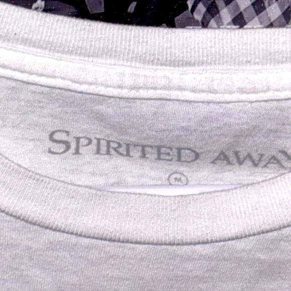 ๋࣭⭑ spirited away graphic T-shirt oversized long - Picture 3 of 3